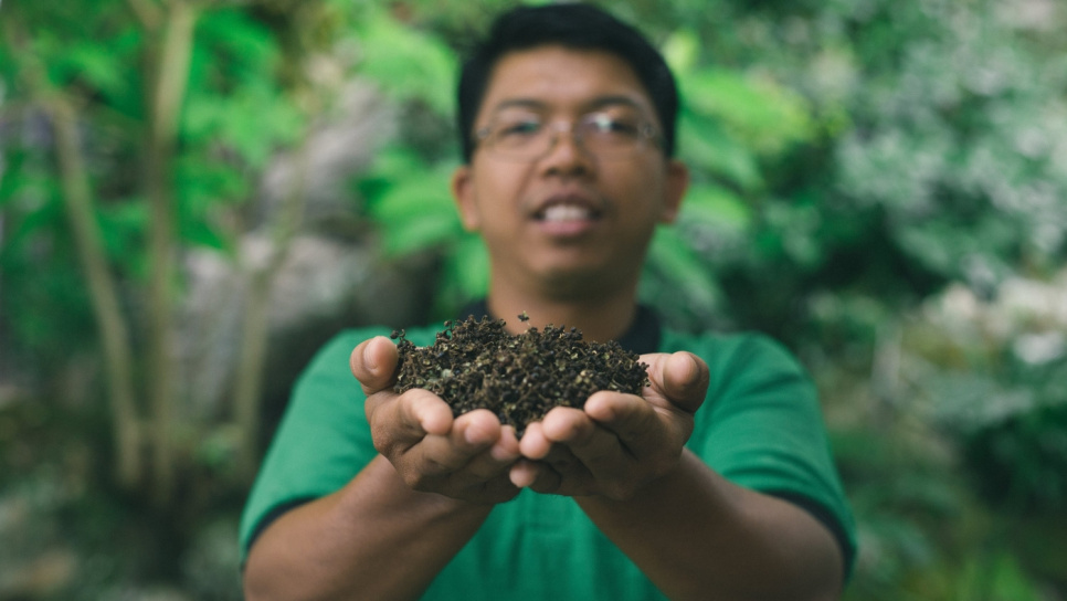 Peper, Andaliman, Batak, 15 g - The Pepper Quest