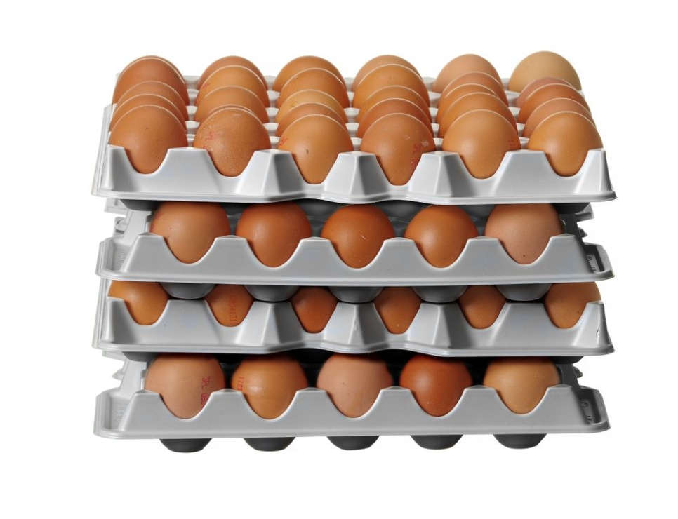 Plastic eierbakje, 4-pack - Hendi