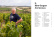 The World of Natural Wine - Aaron Ayscough