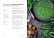 Mushrooms - Martin Nordin
