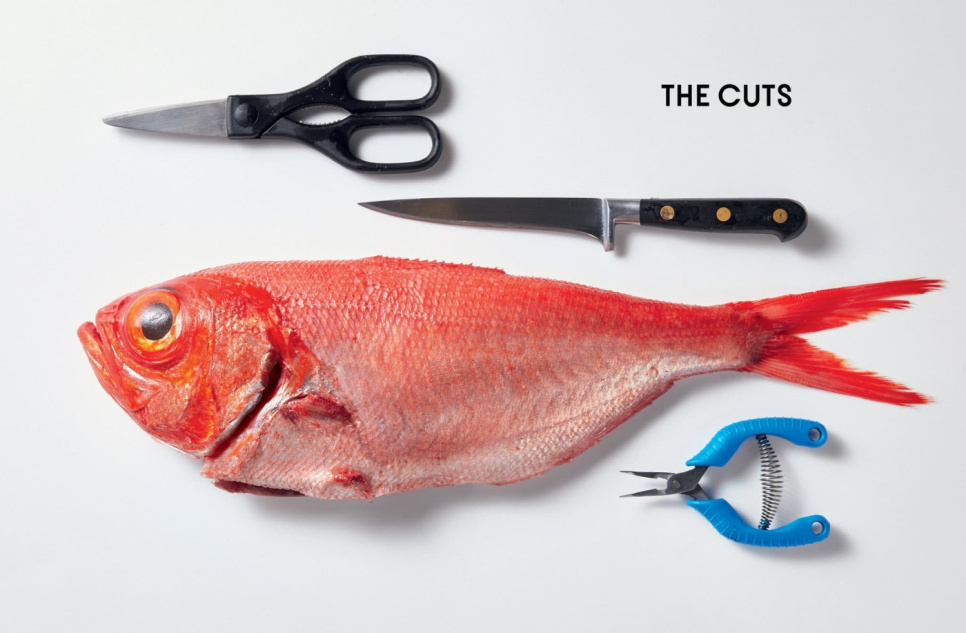 Fish Butchery - Josh Niland